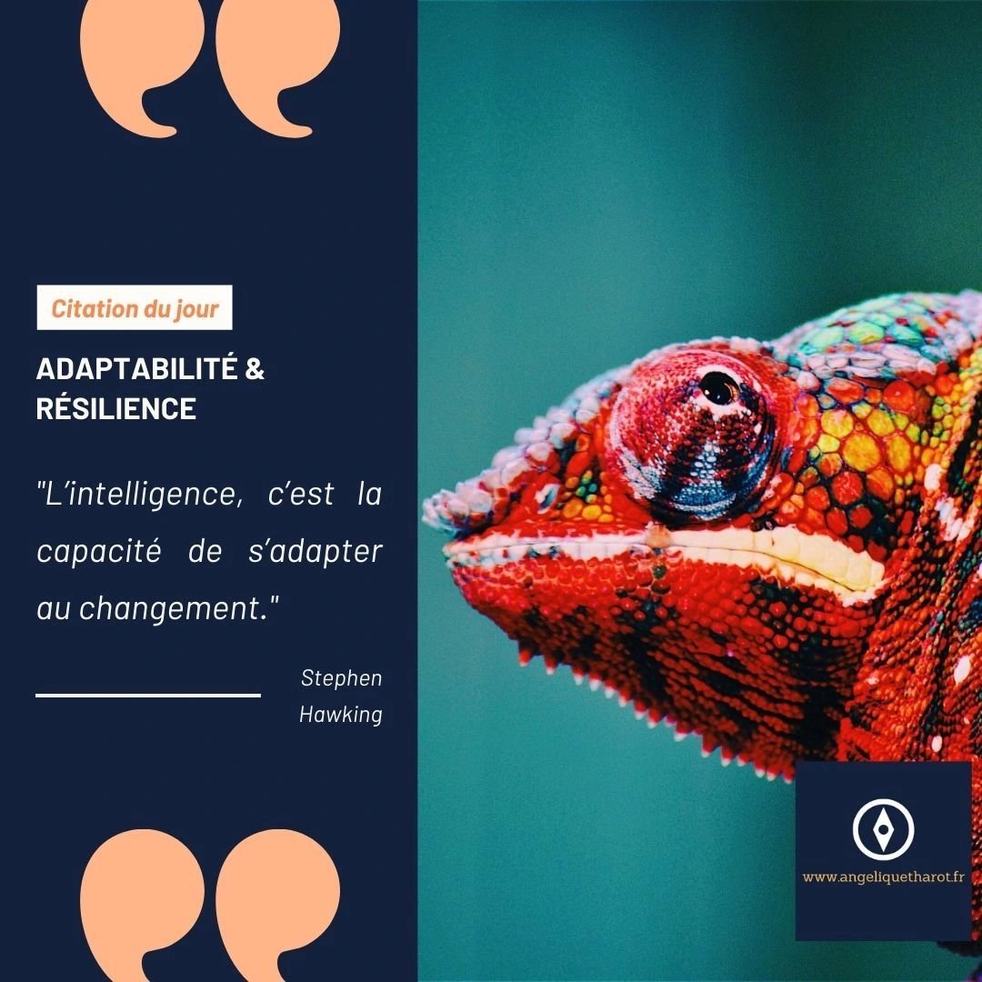 APP Loire-Atlantique